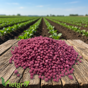 Engrais granulaire soluble de haute qualité Vietgro NPK 16-16-16 Amino 100% pureté, libération contrôlée, rendement élevé - Product Image 2