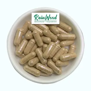 Порошковый экстракт грибов рейши Rainwood (Ganoderma lucidum), капсулы Рейши 500 мг с флаконом и этикеткой