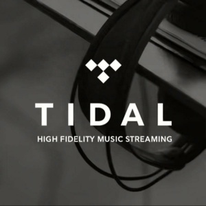 Tidal Premium แพ็กเกจเพลง Tidal 12 เดือน บัญชีสมาชิก Tidal Hifi Plus 1 ปี - Product Image 3