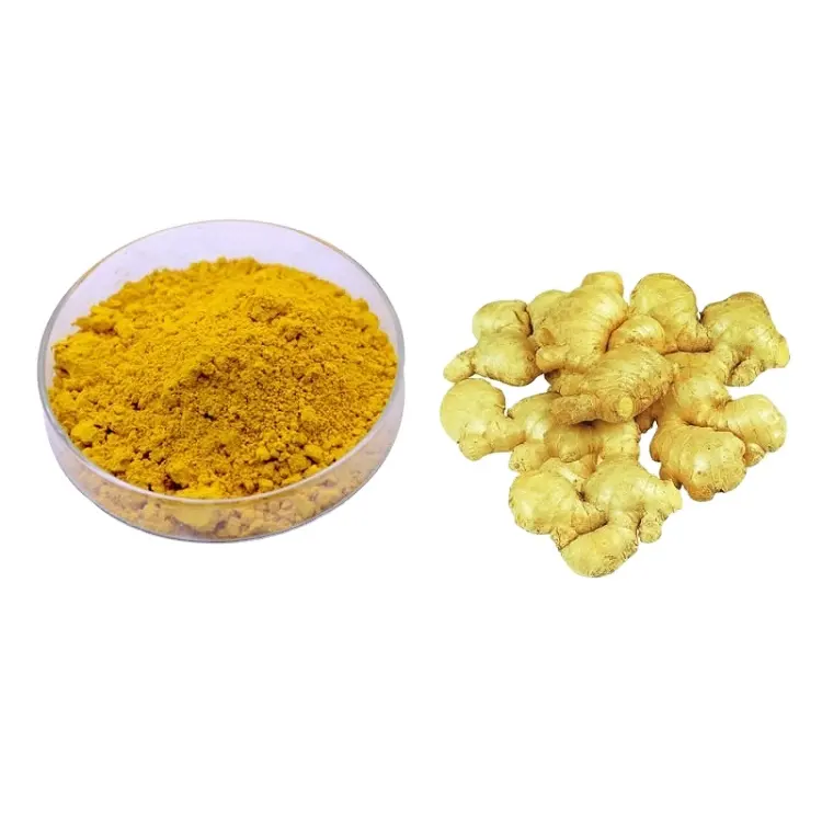 Tinh khiết nghệ Curcuma longa chiết xuất củ nghệ chiết xuất Curcumin bột 95%