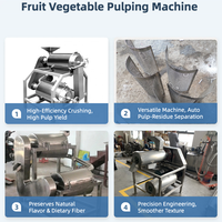 Fruitpulp-extractie- en verwerkingsmachine voor drakenvrucht/pitaya, 304 roestvrijstalen pomp, hoge capaciteit 500-3000 kg/uur