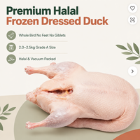 할랄 냉동 손질된 통오리 대량 도매 발 없음 내장물 없음 2.0-2.5kg 수출용 진공 포장 가금류 공급업체