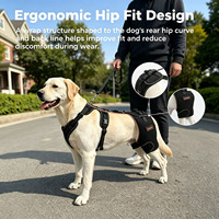 Harnais de soutien pour genou et hanche de chien en nylon personnalisé et confortable, avec fermeture réglable pour dysplasie de la hanche, lésion du ligament croisé antérieur et arthrose