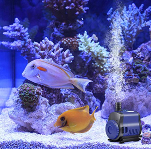 Pompe à eau submersible silencieuse pour aquarium SUNSUN <span class=keywords><strong>JQP</strong></span> <span class=keywords><strong>JQP</strong></span>-500 <span class=keywords><strong>JQP</strong></span>-1000 <span class=keywords><strong>JQP</strong></span>-1500 <span class=keywords><strong>JQP</strong></span>-2500 <span class=keywords><strong>JQP</strong></span>-3000 - Product Image 4