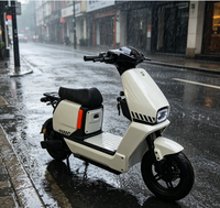 Moto électrique à deux roues, scooter électrique, design tendance, couleurs personnalisables, respectueux de l'environnement, multi-usages, à vendre