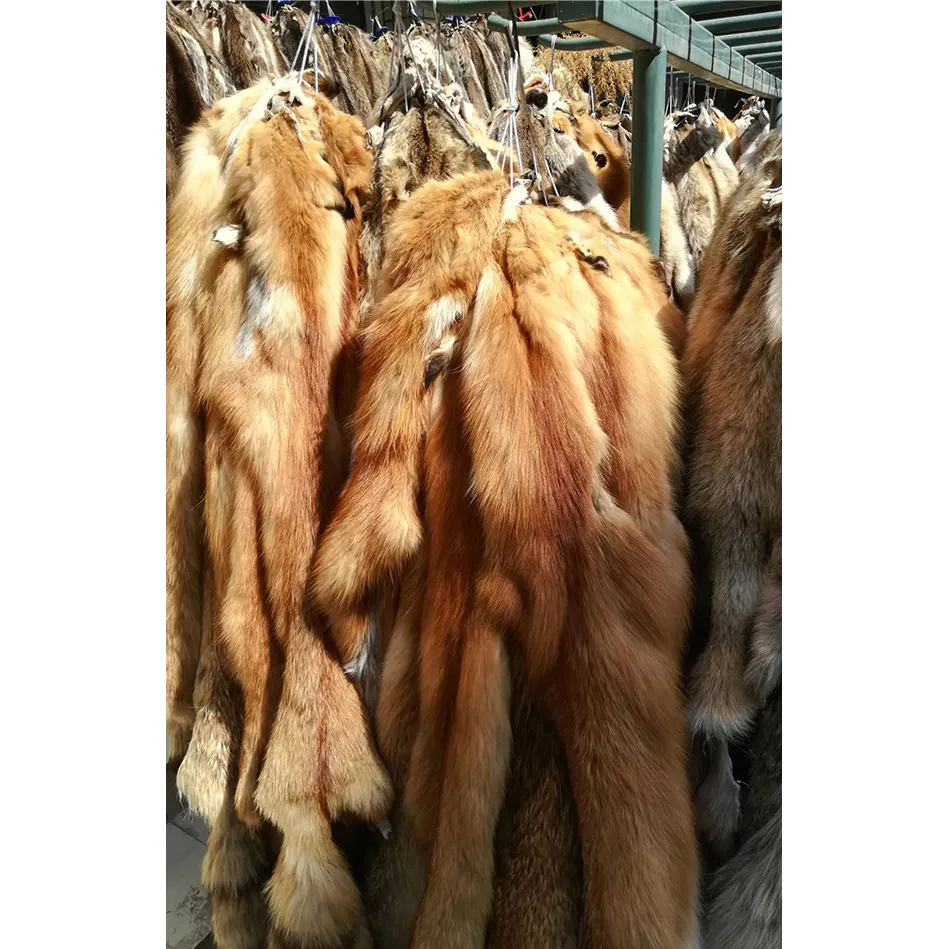 En kaliteli kürk tilki cilt Pelt tüm hayvan kürk cilt boyalı tilki cilt kürk satılık