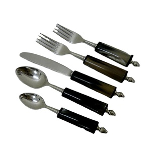 Natural Buffalo Handle Stainless Steel Silver Plated Flatware Set <b>Acrylic</b> Handle Flatware Set - Product Image 2