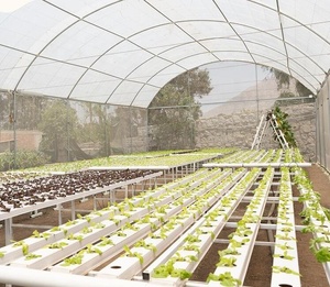 PVC Gutter per Aquaponics Sistemi di Coltivazione Verticale Agricoltura Giardino Serre Ristorante Negozio di Alimentari Fornito Hotel - Product Image 2