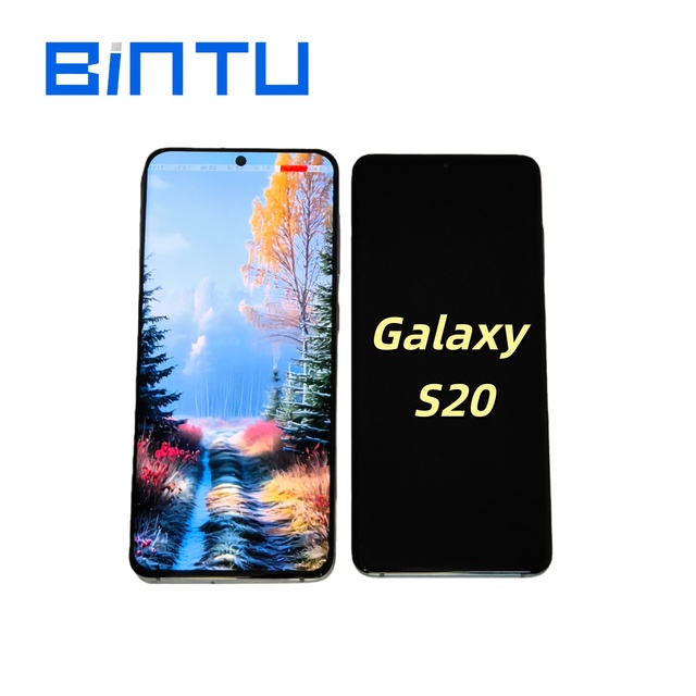 BINTU High Quality Wholesale OLED Cell Phone Repair Screen for Galaxy S20 Display Replacement