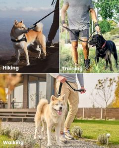 Outdoormaster Bungee Heavy Duty Leash con absorción de impactos, 2 asas acolchadas correa de entrenamiento, seguridad y comodidad mejoradas para perros - Product Image 6