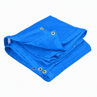 Rouleaux et feuilles de bâche en PVC imperméable pour la protection des camions, des meubles et des applications industrielles