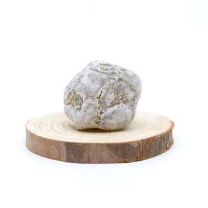 Los Más Populares Fermentados con Bacterias Lácticas y Enzimas Naturales que Mejoran la Salud Intestinal y Apoyan los Objetivos de Pérdida de Peso - Product Image 4