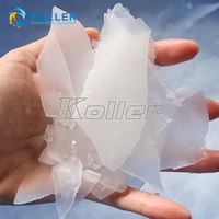 Machine à glace en flocons Koller Eau/Air 50 tonnes/jour pour le refroidissement des aliments (poisson, pain) pour l'Afrique