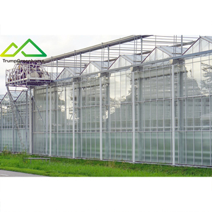 Grande serre multi-chapelles <span class=keywords><strong>en</strong></span> verre pour la culture hors-sol de tomates, concombres, poivrons et melons - Product Image 1