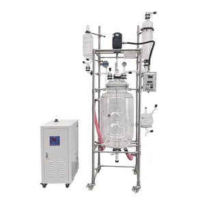 ASK Reactor de vidrio Continuous Industrial Batch Stirred Tank Pyrolysis Reactor For Lab With Best Price