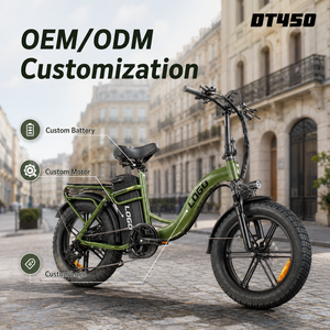Bicicleta Eléctrica de Carga de 750W, 48V 50Ah, Batería de Gran Capacidad para Repartidores, Personalización OEM ODM - Product Image 1