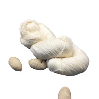 Spun Silk Yarn Use Knitting Yarn for Hand Knitting Yarn