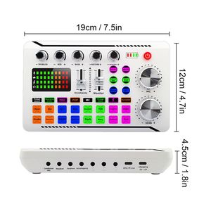 Carte son filaire, interface audio <span class=keywords><strong>avec</strong></span> fonction d'annulation du bruit pour l'enregistrement <span class=keywords><strong>de</strong></span> chant en direct et l'accompagnement, <span class=keywords><strong>changeur</strong></span> <span class=keywords><strong>de</strong></span> <span class=keywords><strong>voix</strong></span> - Product Image 2