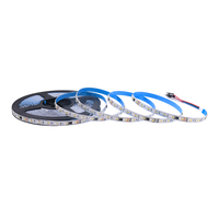 Bandes LED RVBW 24V à IC externe programmable, pleine couleur, pour bars et KTV