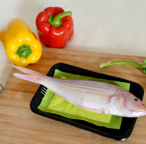 Almohadilla Absorbente para Envasado de Alimentos, Almohadilla para Carne en Bandeja, Almohadilla Absorbente - Product Image 2