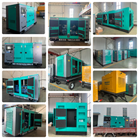 Generador Diésel Silencioso con Motor Chino Ricardo de 20kw, 30kw, 40kva, 50kw, 60KVA, 80kw, 100KVA, 150KVA, 200KVA, 300KVA, Suministro Global