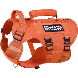 Muestra gratis Chaleco de entrenamiento Molle Bellyband moderno con precio de fábrica para servicio de liberación rápida - Product Image 1