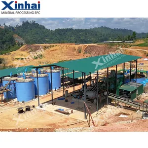 5-10 Tons Per Hour Small Scale Gold Ore Beneficiation Plant Complete Activated Carbon Leaching CIL CIP Gold Processing Plant