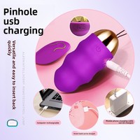 Ferngesteuerter Tragbarer Silikon-Vibrator für Masturbation Wasserdicht IPX7 USB-Aufladbar Damen Intimpflege Erwachsenen-Sexspielzeug