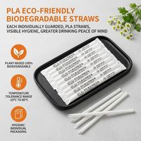 Pailles à boire jetables personnalisées en PLA, biodégradables, fournitures de fête, emballées individuellement, pailles blanches, pailles en plastique Jumbo Boba