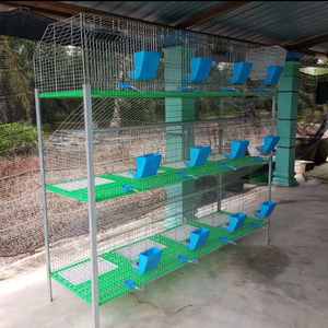 <span class=keywords><strong>Conejeras</strong></span> y jaulas de uso doméstico, granja de cría comercial, en Bangkok - Product Image 6