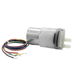 Pompe à eau miniature sans balais 310A personnalisée, longue durée de vie, électrique, auto-amorçante, pulvérisateur, pompe à eau portable - Product Image 1