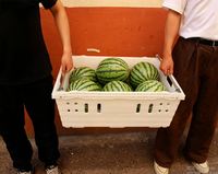Caisse de transport empilable en plastique OEM personnalisée pour fruits (melon, durian, noix de coco) pour supermarché