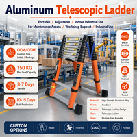 Échelle télescopique portable moderne à 5 marches en aluminium 6063, capacité 150 kg, pliable, certifiée CE, pour la construction industrielle