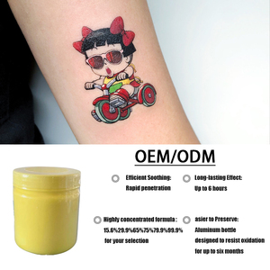 2025 Nueva Crema para Tatuajes de 500ML con Etiqueta Personalizada Gratuita, Modelos de Gran Demanda para el Cuidado del Arte Corporal, Accesorios para Microblading y Maquillaje Permanente - Product Image 3