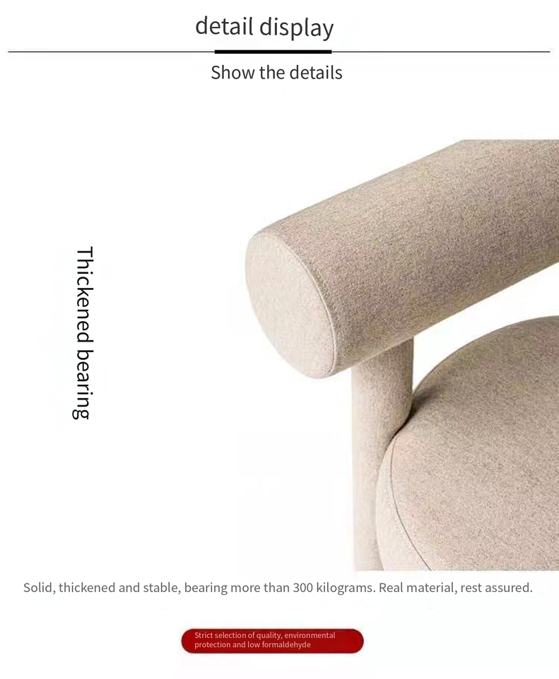 Nordic Modern Dining Chair for Living Room & Bedroom Light Luxury ...