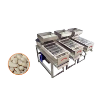 Machine automatique à décortiquer les cacahuètes, décortiqueuse efficace pour les noix grillées, machine à décortiquer les cacahuètes et les fèves de cacao à haute efficacité