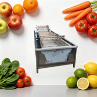 Instelbare snelheid multifunctionele belletjeswasmachine voor de verwerking van groenten en fruit, automatische transport en voedselreiniging