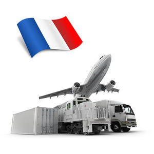 El agente de envío más barato, servicio de entrega puerta a puerta, transitario de carga aérea exprés, transporte marítimo a EE. UU. Canadá - Product Image 6