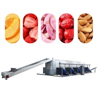 Ondersteuning voor maatwerk: machine voor het drogen van champignons, noedelsdroger met gaasband, machine voor het drogen van kardemom/tomaat/rode dadels, fruitdroogmachine
