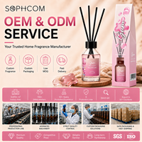 Diffuseur à bâtonnets 100 ml, parfum d'ambiance floral fruité, pour importateurs, grossistes et chaînes de magasins – Approvisionnement direct usine