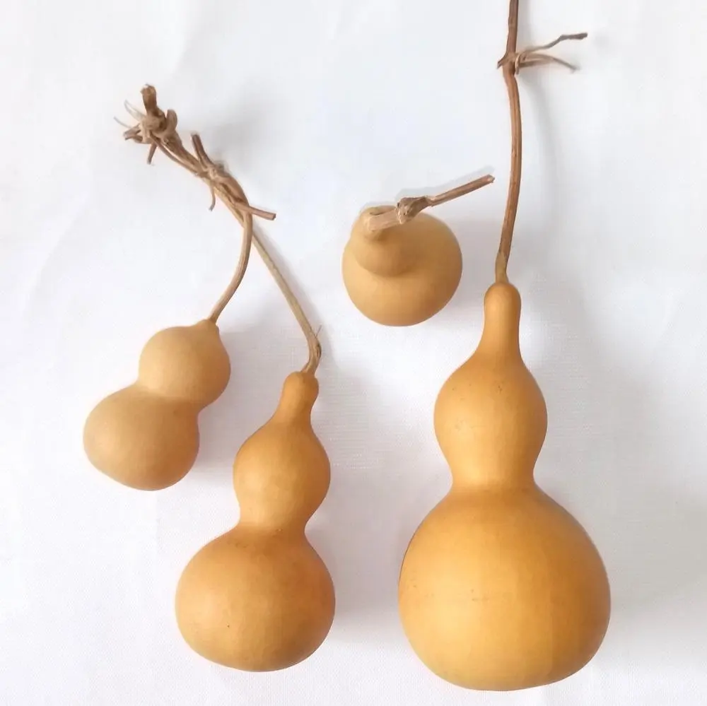 Dried Natural Gourd Cucurbit Lagenaria siceraria Calabash for Home Decor