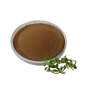 Kapsul ekstrak <span class=keywords><strong>Bacopa</strong></span> <span class=keywords><strong>Monnieri</strong></span> alami suplemen grosir kapsul <span class=keywords><strong>Bacopa</strong></span> organik untuk energi kekebalan tubuh & - Product Image 2