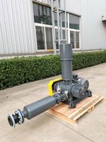 Souffleur à racines pour les systèmes de traitement de l'air et des gaz industriels dans les procédés de désulfuration en génie environnemental