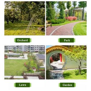 Scarificateur en verre pour pelouse <span class=keywords><strong>de</strong></span> jardin Machine à peigner les racines à essence avec semoir et <span class=keywords><strong>engrais</strong></span> - Product Image 5