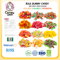 Fabrieksdirecte verkoop Halal/Kosher kauwgom snoep groothandel zuur fruit smaak gummy snoepjes bonbons lollies caramelo