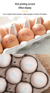 Trứng máy in gà tươi vỏ máy in phun trứng mã vạch Máy dập trứng chữ cái <span class=keywords><strong>coder</strong></span> - Product Image 6
