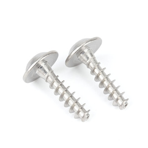 ステンレス钢Torxソケットパンヘッドタッピングネジフラットテール付きプラスチック用 - Product Image 5