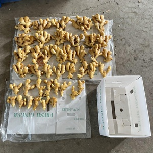 Высокое качество новый урожай Свежий Желтый Имбирь горячая Распродажа товар - Product Image 2