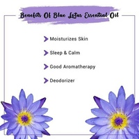 Fournisseur fiable d'huile de lotus bleu de Chine pour l'aromathérapie Huile de lotus bleu de haute qualité absolue au prix de gros