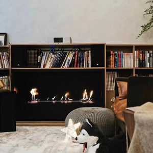 <span class=keywords><strong>Cheminée</strong></span> moderne intelligente en acier inoxydable avec <span class=keywords><strong>bio</strong></span>éthanol, design d'insertion autoportant, <span class=keywords><strong>cheminée</strong></span> à <span class=keywords><strong>alcool</strong></span> pratique <span class=keywords><strong>pour</strong></span> un style élégant - Product Image 4